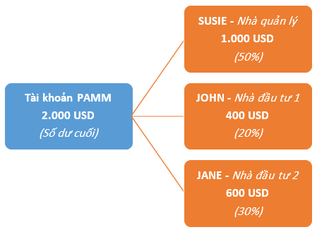 Ví dụ 3 về tài khoản PAMM của Alpari
