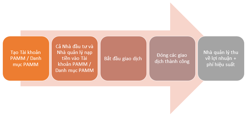 Các Nhà quản lý PAMM của Alpari