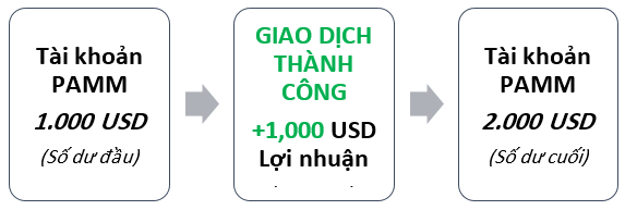 Ví dụ 2 về tài khoản PAMM của Alpari