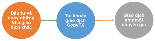 Mở tài khoản RoboForex copyfx