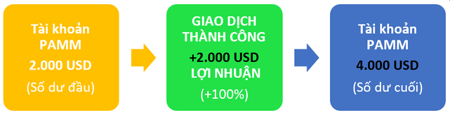 Lợi nhuận tài khoản PAMM Forex 