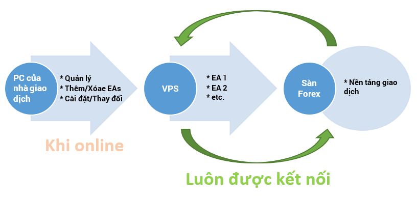 VPS Forex - EA luôn hoạt động trên VPS