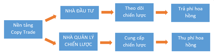 Cách copy trade xm hoạt động
